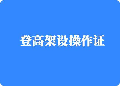 A黄片好大啊啊啊啊登高架设操作证